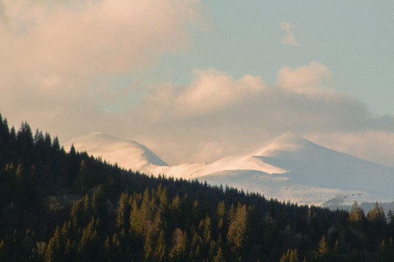 Breathtaking view of the Carpathian Mountains during golden hour, showcasing snow-covered peaks and a lush forest below.
